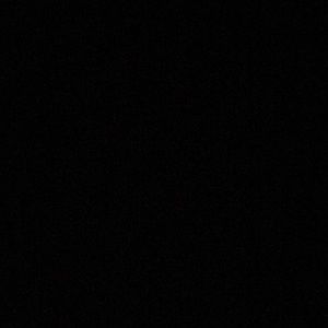 Meet your Posher, Cheyenne